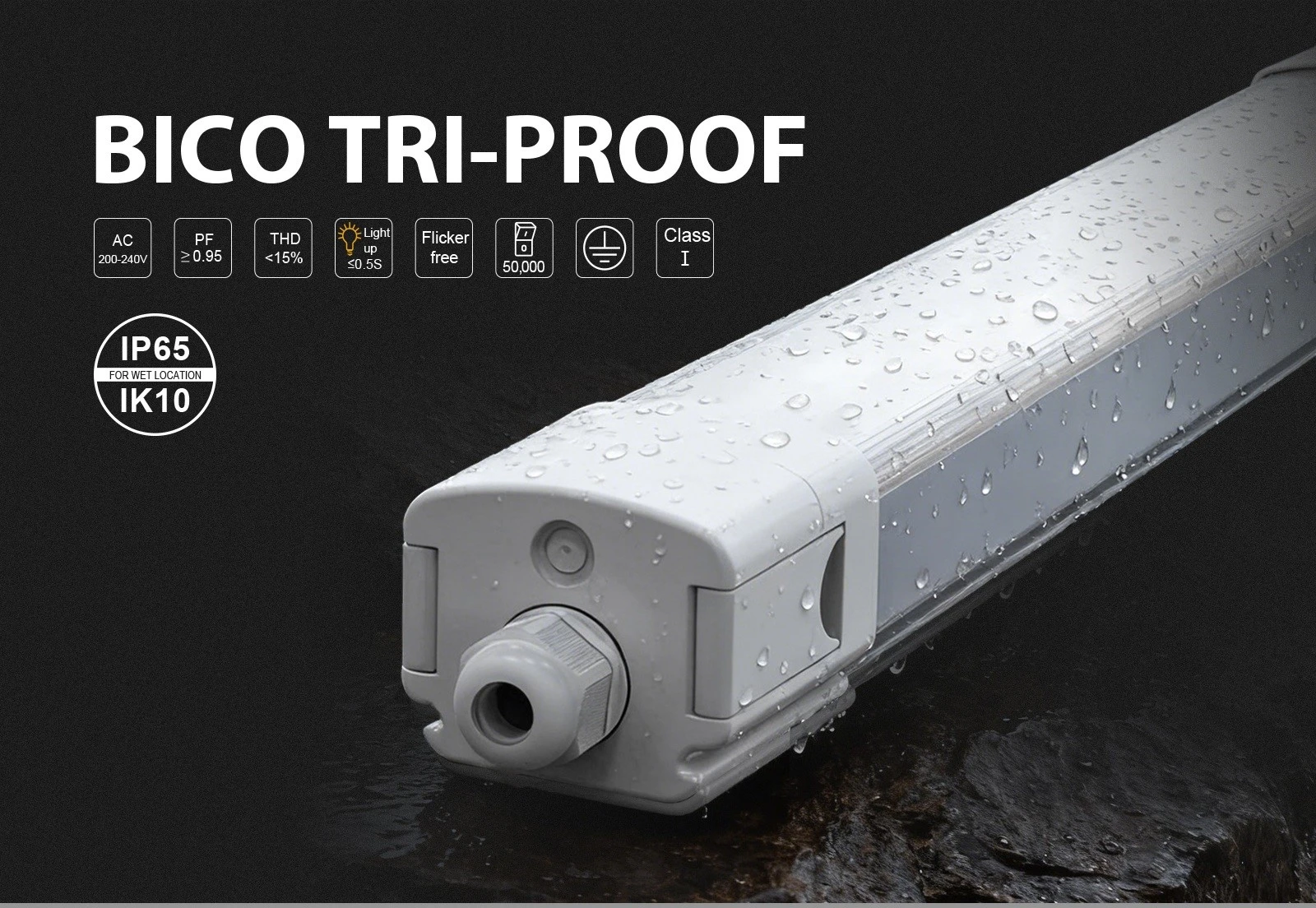 Bico01 Bico01